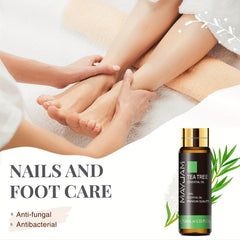 Tea Tree Essential Oil 10ml - 100% Natural Aromatherapy Massage Bath
