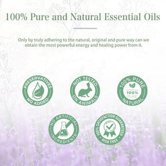 Lavender Essential Oil 100ml 3.38 Fl Oz for Diffusers Humidifier