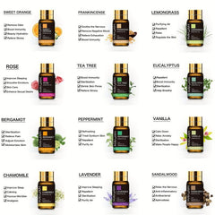 20pcs 5ml Essential Oil Set Diffusers Aromatherapy Lavender Jasmine Eucalyptus