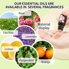 Chamomile Body Massage Oil for Halloween