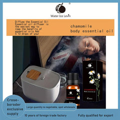 Chamomile Body Massage Oil for Halloween