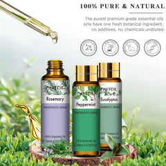 9pc 10ml Essential Oil Set for Diffusers Humidifier Aromatherapy Massage Bath