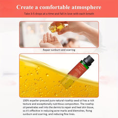 100ml Rosehip Seed & Sweet Almond Ginger Massage Oil