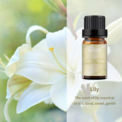 1pc Lily Fragrance Aromatherapy Essential Oil 10mL