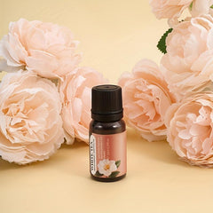 Organic Essential Oils Aromatherapy For Diffusers Humidifiers Massage