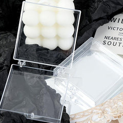 Clear Nail Tips Storage Box with Display Sticks
