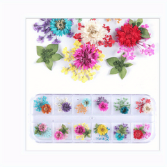 Dried Flowers Nail Decorations Jewelry 3D Nail Art Designs