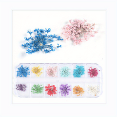 Dried Flowers Nail Decorations Jewelry 3D Nail Art Designs