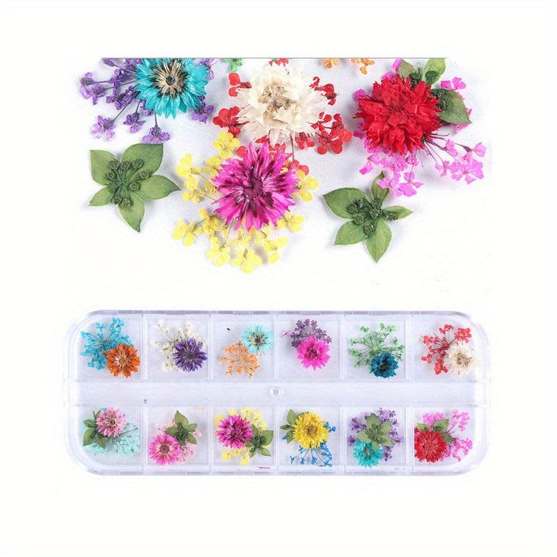 3D Dried Flower Nail Art Charms - 12 Pcs Kit For DIY Resin Nail Art Decor