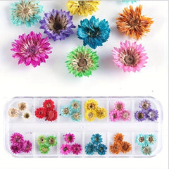 3D Dried Flower Nail Art Charms - 12 Pcs Kit For DIY Resin Nail Art Decor
