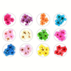 3D Dried Flower Nail Art Charms - 12 Pcs Kit For DIY Resin Nail Art Decor