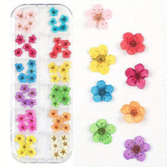 3D Dried Flower Nail Art Charms - 12 Pcs Kit For DIY Resin Nail Art Decor