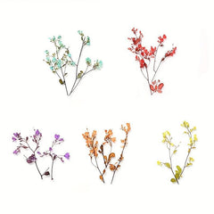 5pcs Nail Art Dried Flowers 3D Natural Dry Petals Leaves Decoration