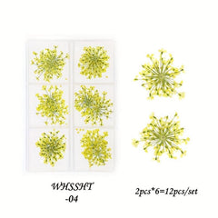 6 Grid Dried Flower Nail Art Charms - 3D Nail Accessories