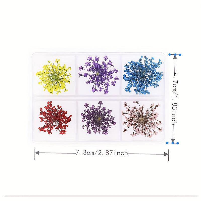 6 Grid Dried Flower Nail Art Charms - 3D Nail Accessories