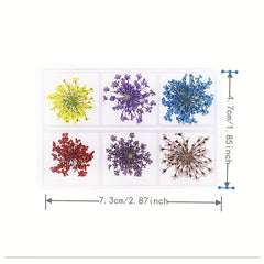 6 Grid Dried Flower Nail Art Charms - 3D Nail Accessories