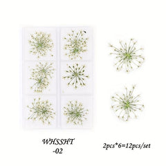 6 Grid Dried Flower Nail Art Charms - 3D Nail Accessories