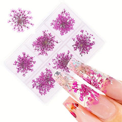 6 Grid Dried Flower Nail Art Charms - 3D Nail Accessories