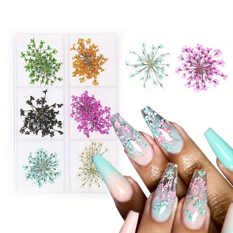 6 Grid Dried Flower Nail Art Charms - 3D Nail Accessories