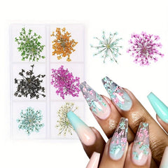 6 Grid Dried Flower Nail Art Charms - 3D Nail Accessories