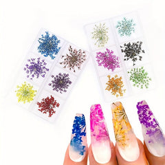 6 Grid Dried Flower Nail Art Charms - 3D Nail Accessories