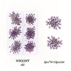6 Grid Dried Flower Nail Art Charms - 3D Nail Accessories