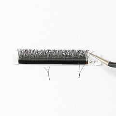 Silk False Eyelashes 12 Rows 8-15mm Volume Extensions for Work, Dating, Parties