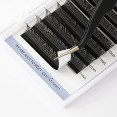 Silk False Eyelashes 12 Rows 8-15mm Volume Extensions for Work, Dating, Parties