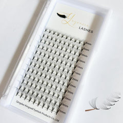 12D Volume Premade Fans for Eyelash Extensions