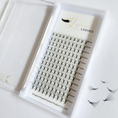 12D Volume Premade Fans for Eyelash Extensions