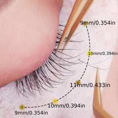 Long Lasting Eyelash Extensions 8-15mm C D DD Curl YY Shape