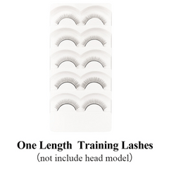 Training Lashes Set for Beginners - 5 Pairs Eyelash Extension