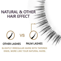 Wispy Manga False Eyelashes Clear Band Short Lashes TS13