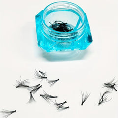 60pcs 10D Clusters Lashes for Eyelash Extensions and Grafting