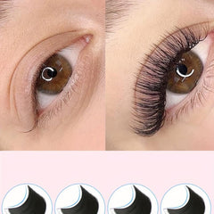 Individual Volume Lash Trays C CC D DD Curl 8-15mm Soft Lightweight Cruelty-Free