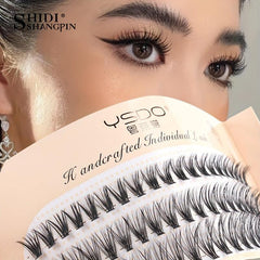 60 Clusters Lashes 8 12mm C Curling Natural Individual False Eyelashes