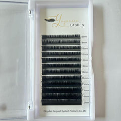 Individual Eyelash Extensions Cluster Lashes C D Curl 8 16mm False Eyelashes