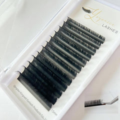 Individual Eyelash Extensions Cluster Lashes C D Curl 8 16mm False Eyelashes