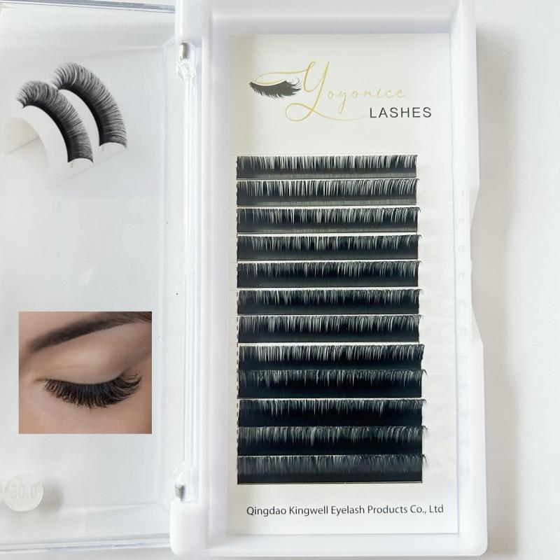 Individual Eyelash Extensions Cluster Lashes C D Curl 8 16mm False Eyelashes