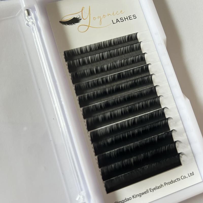 Individual Eyelash Extensions Cluster Lashes C D Curl 8 16mm False Eyelashes