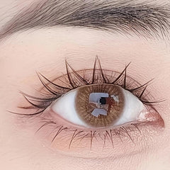 V-shaped False Eyelashes for Women - Natural and Dense, Novice Friendly