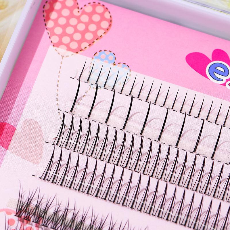 6 Rows Mixed Style DIY Lash Extension At Home Fishtail & A Shape