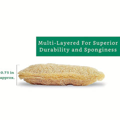 Exfoliating Loofah Sponge Set for Showering Spa Facial Cleansing