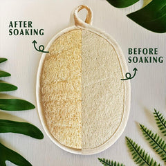 Natural Loofah Sponge Exfoliating Body Scrubber Biodegradable Shower Luffa