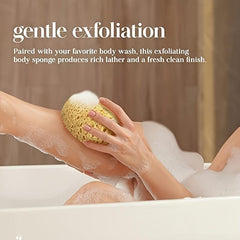2pcs Exfoliating Loofah Luffa Body Scrubber for Shower Spa Facial Cleansing