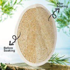 2pcs Bath Brush & Loofah Sponge Set Body Exfoliating Shower Scrubber