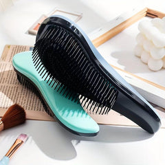 Anti Static Hairbrush for Scalp Massage, Travel, Wet & Dry Hair