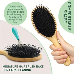Boar Bristle Hair Brush & Pouch for Women Men Dry Wet Detangling Hair Oval