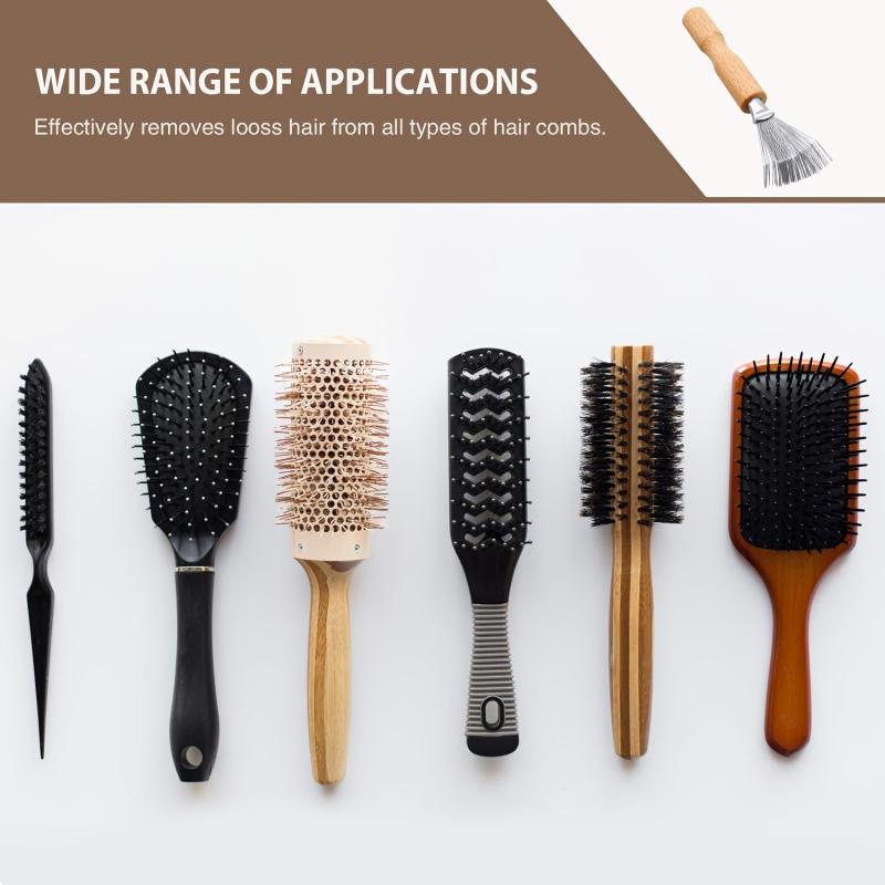 Mini Hair Brush Cleaner Tool with Metal Wire Rake for Home and Salon Use