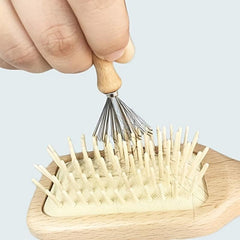 Mini Hair Brush Cleaner Tool with Metal Wire Rake for Home and Salon Use